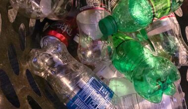 Plastic bottles