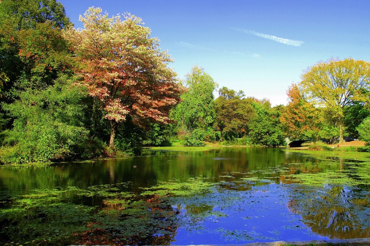 A $1.4 Million Renovation of Brooklyn's Prospect Park Lake is Now Complete