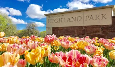 Highlighting features at Rochester's Highland Park
