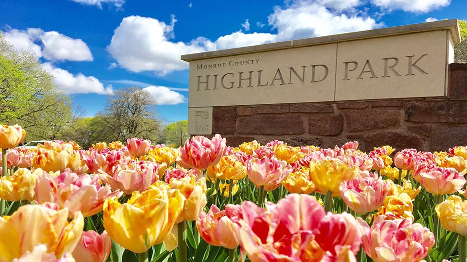 Highlighting features at Rochester's Highland Park