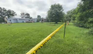 radioactive search in a lawn