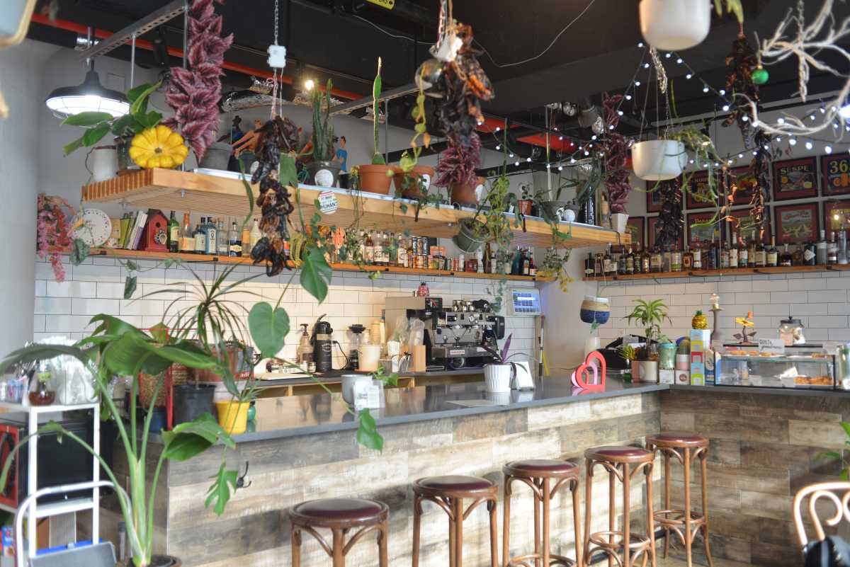 Where to eat in the Bronx for NYC Restaurant Week – Bronx Times