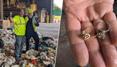 How 2 Rings Were Found After Being Thrown Out in Brooklyn
