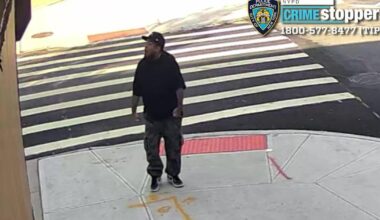 Man opens fire in Brooklyn, shoots dog, police say