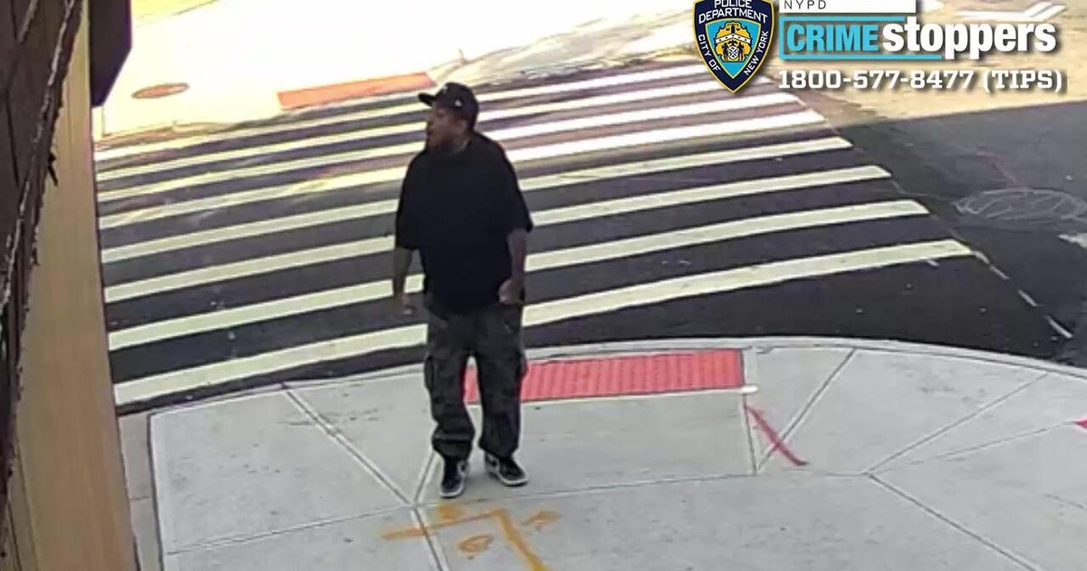 Man opens fire in Brooklyn, shoots dog, police say