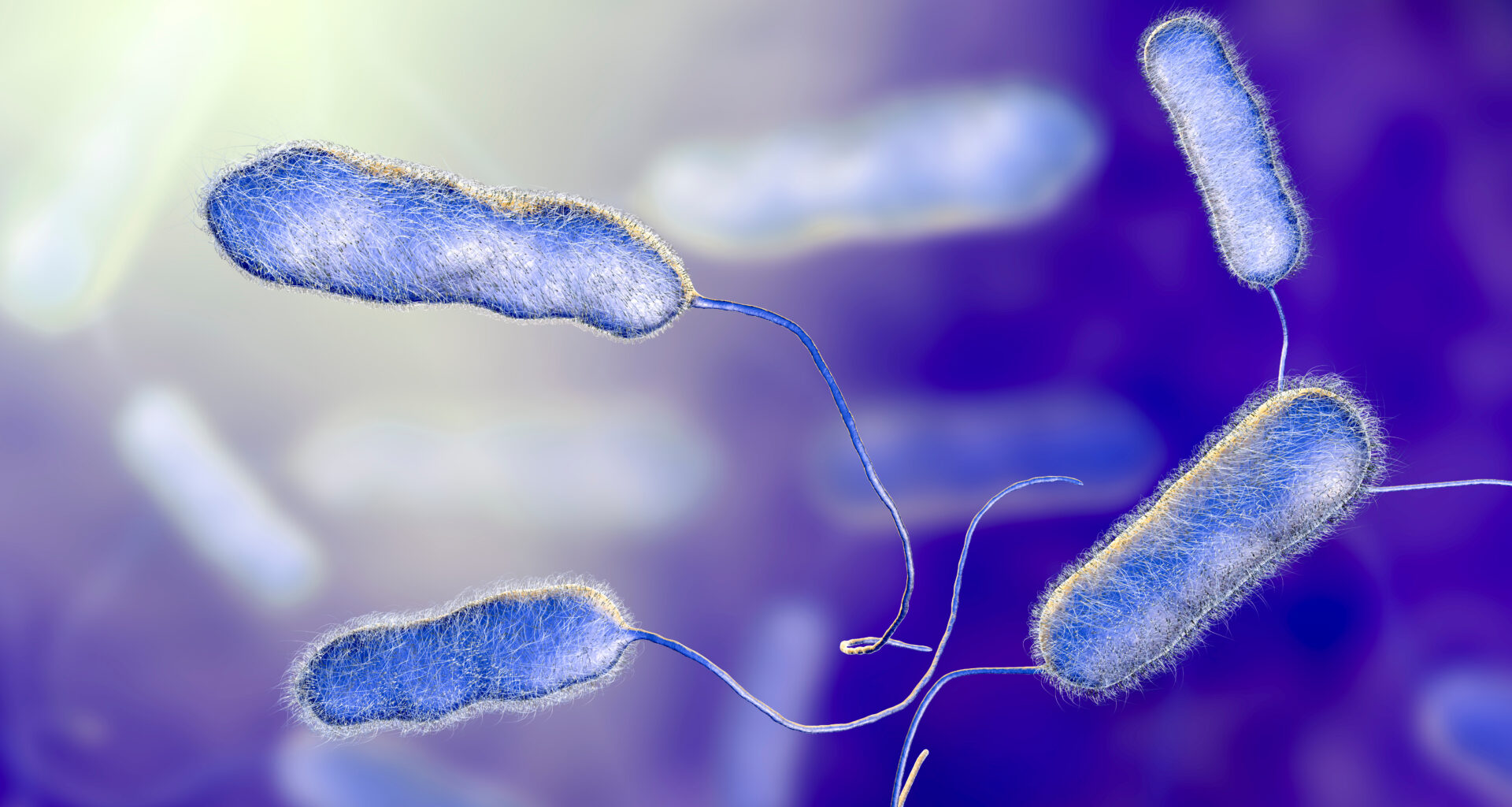 NYC facing new lawsuits over last year’s Legionnaires' disease outbreak in Harlem