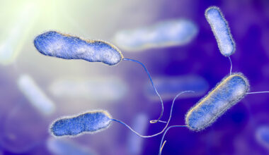 NYC facing new lawsuits over last year’s Legionnaires' disease outbreak in Harlem
