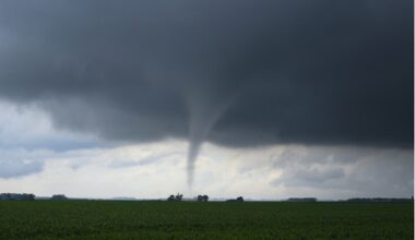 Will County EMA Storm Damage Survey Offered For Residents, Businesses