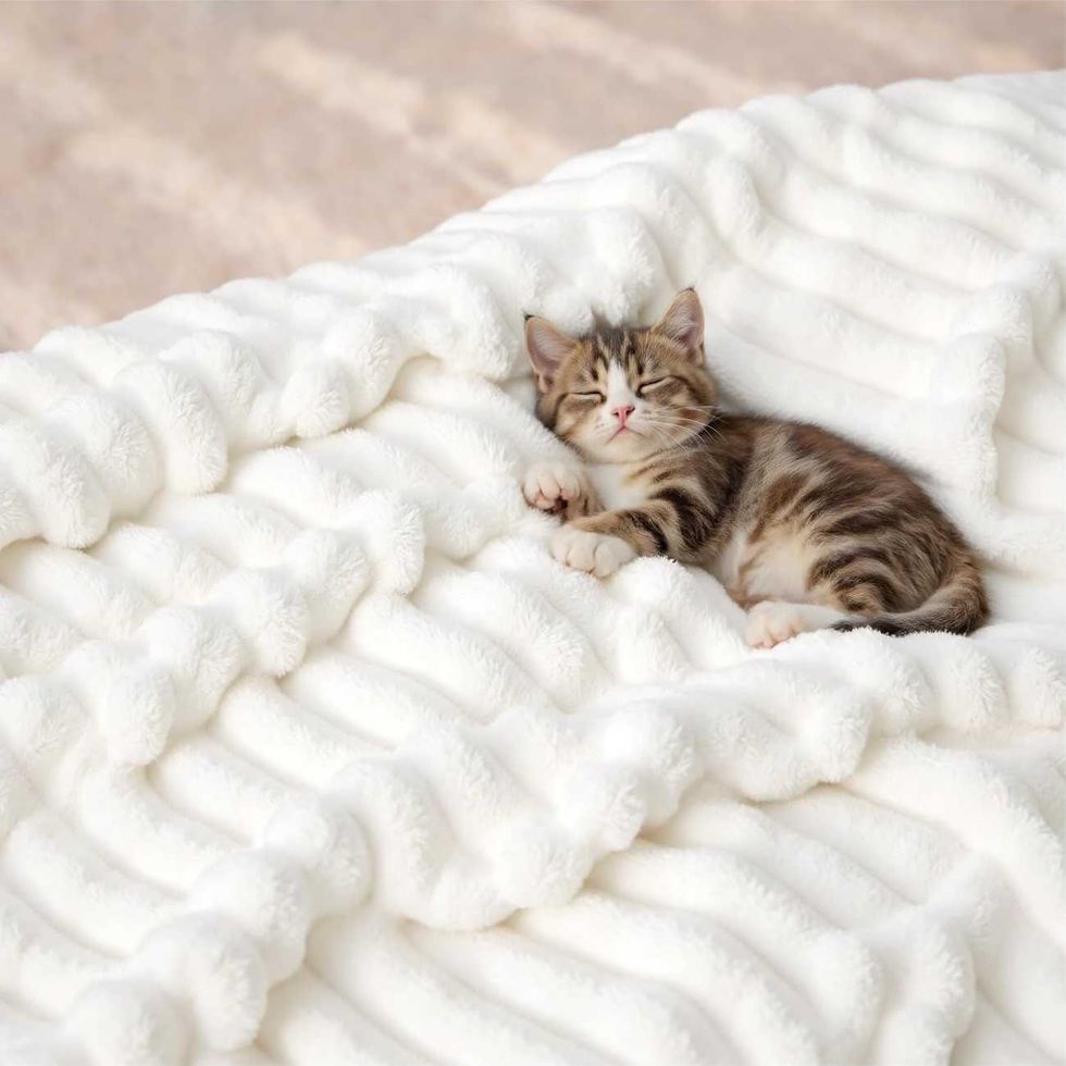 soft throw blanket
