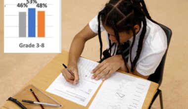 NY 3rd-5th graders fail basic reading tests with more than half not even proficient: data