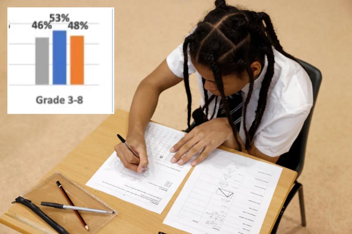 NY 3rd-5th graders fail basic reading tests with more than half not even proficient: data