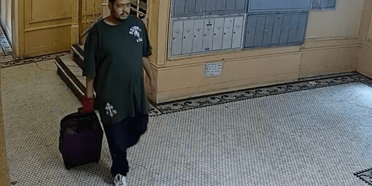 Man accused of murdering his mother in her Bronx apartment