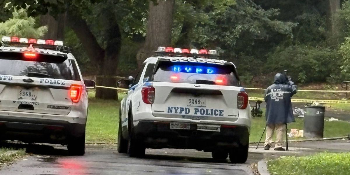 Woman, 30, stabbed to death at Brooklyn park