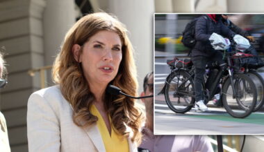 In Wake of Death, NYC City Council to Examine E-Bike Safety