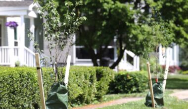 Fairport is New York's 'hottest' housing market, report finds