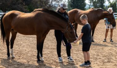 EquiCenter gets state money for accessibility and facility improvements