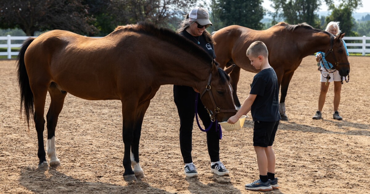 EquiCenter gets state money for accessibility and facility improvements