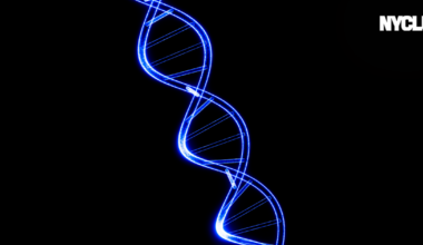 NYPD’s DNA Database Ensnares Innocent New Yorkers