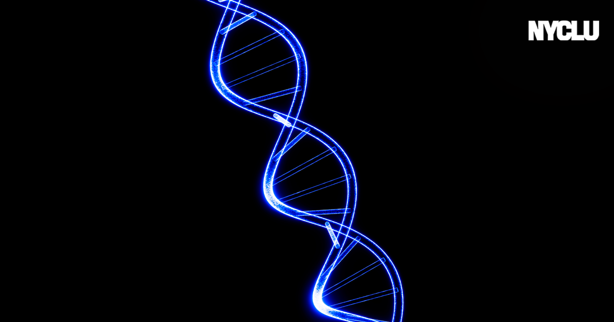 NYPD’s DNA Database Ensnares Innocent New Yorkers