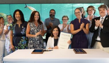 Governor Hochul Signs New York Whale Awareness Act to Protect Marine Mammals and Enhance Boater Safety | Governor Kathy Hochul