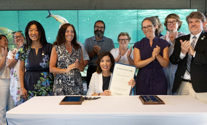 Governor Hochul Signs New York Whale Awareness Act to Protect Marine Mammals and Enhance Boater Safety | Governor Kathy Hochul