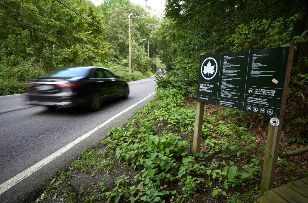 A car speeding past a sign for the Staten Island Greenbelt White Trail next to a road and dense forest.