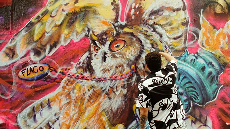 Wild Inside Owl Doc Trailer