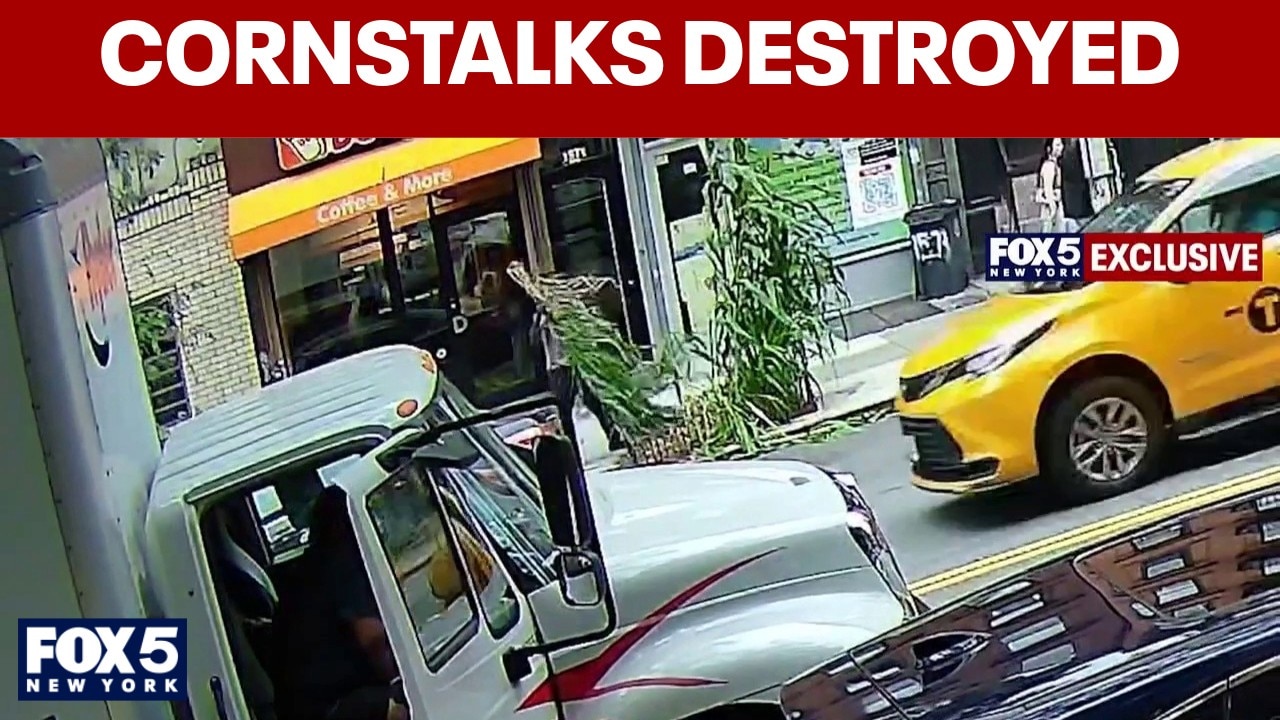 Video shows man tearing down kids' cornstalks on Upper East Side | Exclusive