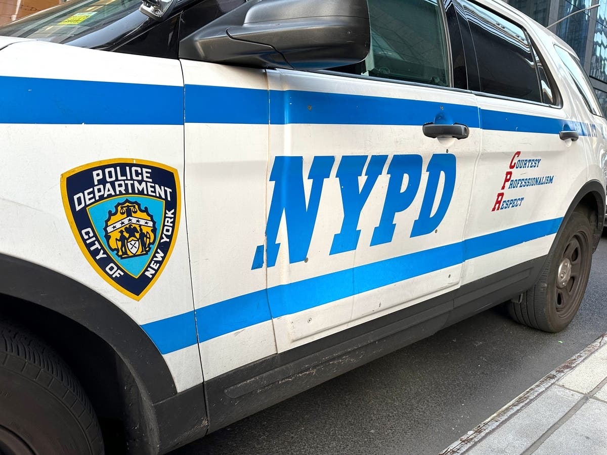 Body Of Man, 29, Pulled From Harlem River: NYPD