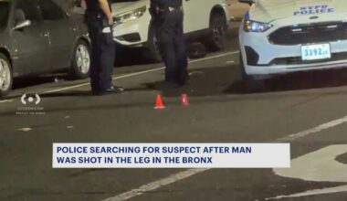 News 12 | Brooklyn | Man Wounded In Shooting Near Franz Sigel Park