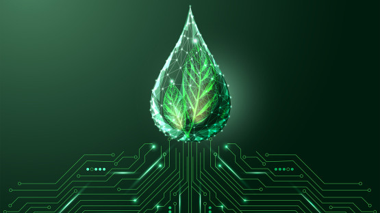 Cornellians to address AI, NY energy future at Climate Week NYC