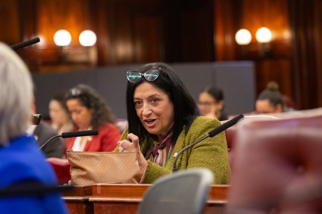 Councilmember Joann Ariola attends a full Council meeting,
