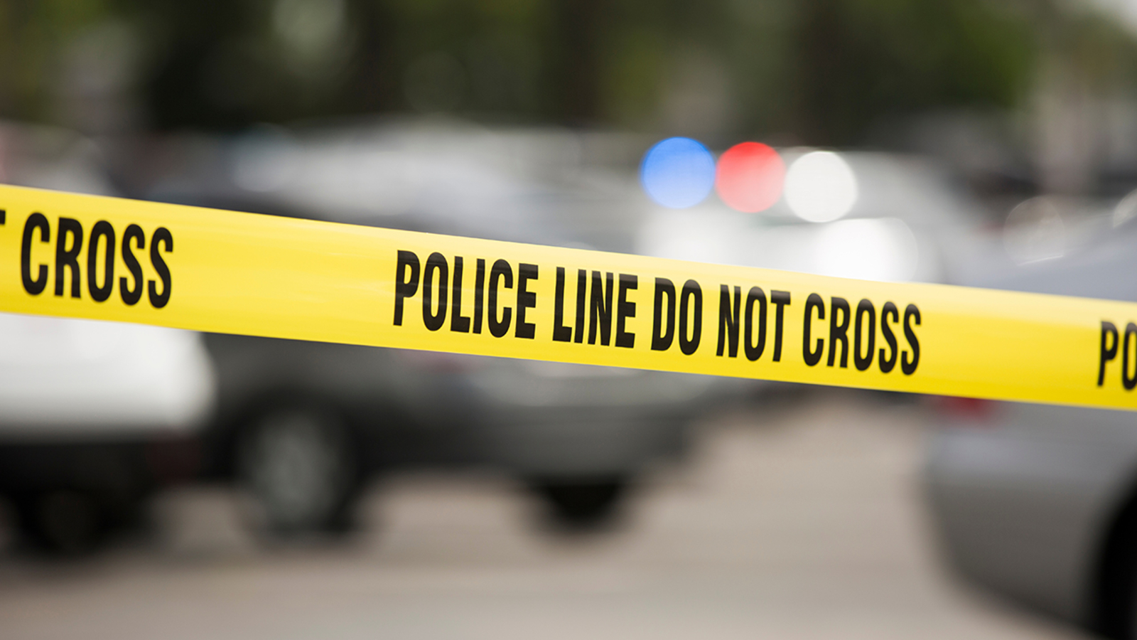 Man found dead in Queens apartment complex parking lot with stab wound; investigation into his death underway