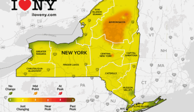 Fall foliage continues to emerge across New York State