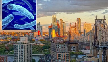 Latest Legionnaires' outbreak to grip NYC kills 1 and sickens 5 others
