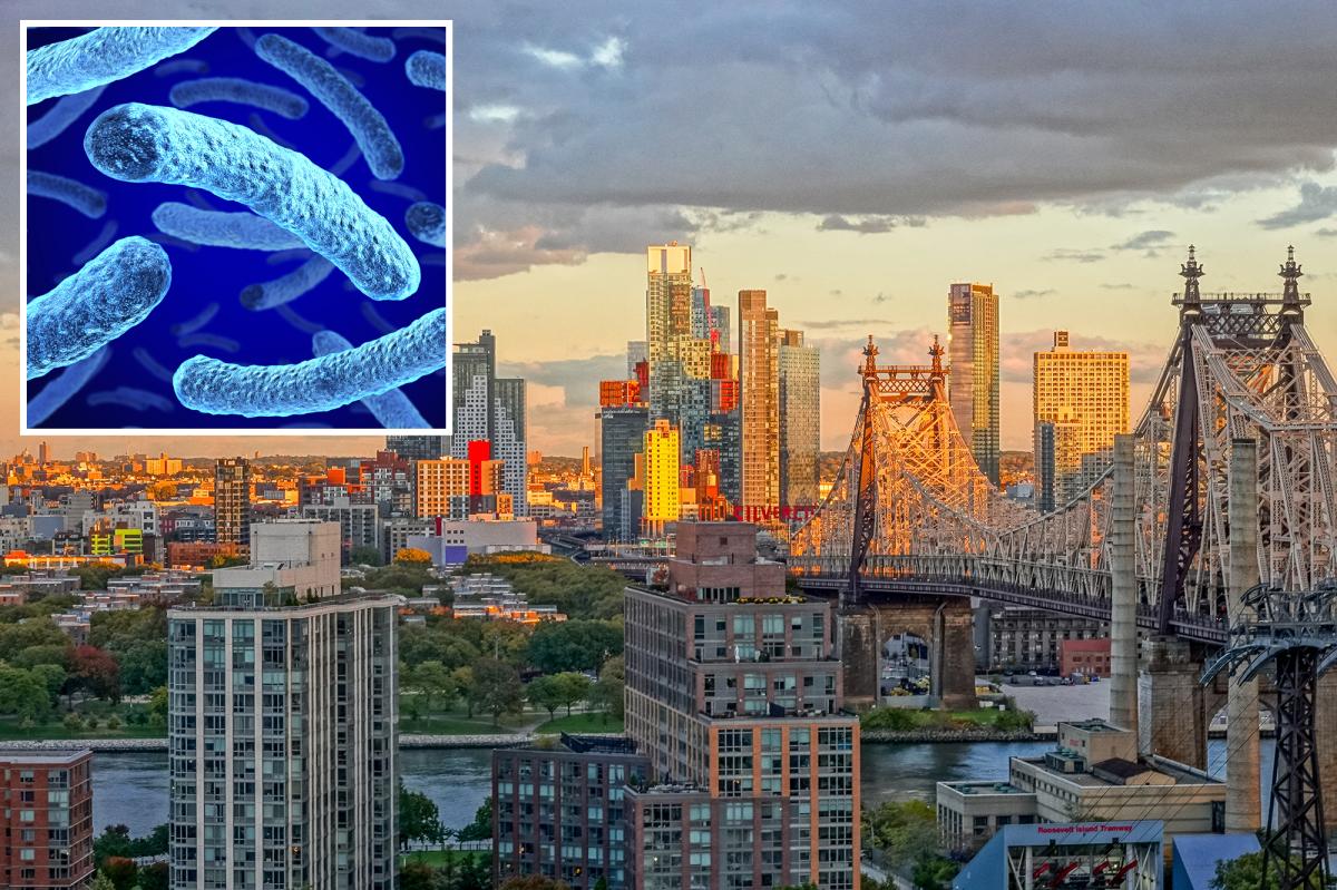 Latest Legionnaires' outbreak to grip NYC kills 1 and sickens 5 others