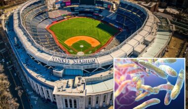 Legionnaires bacteria detected in 10 South Bronx cooling towers, including Yankee Stadium
