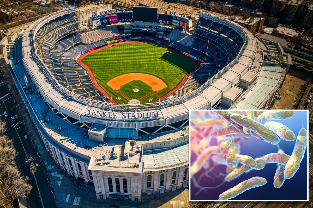 Legionnaires bacteria detected in 10 South Bronx cooling towers, including Yankee Stadium