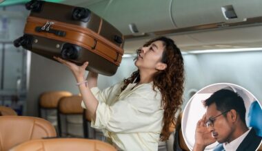Passenger sparks digital divide over airplane luggage etiquette