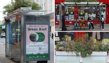 Brownsville grows first-of-its-kind botanical bus stop