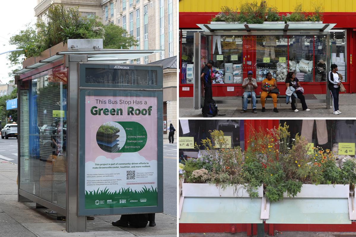 Brownsville grows first-of-its-kind botanical bus stop