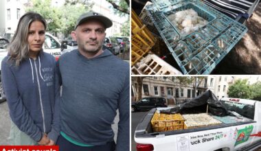 Hundreds of dead chickens found abandoned in NYC U-Hauls: cops and activists