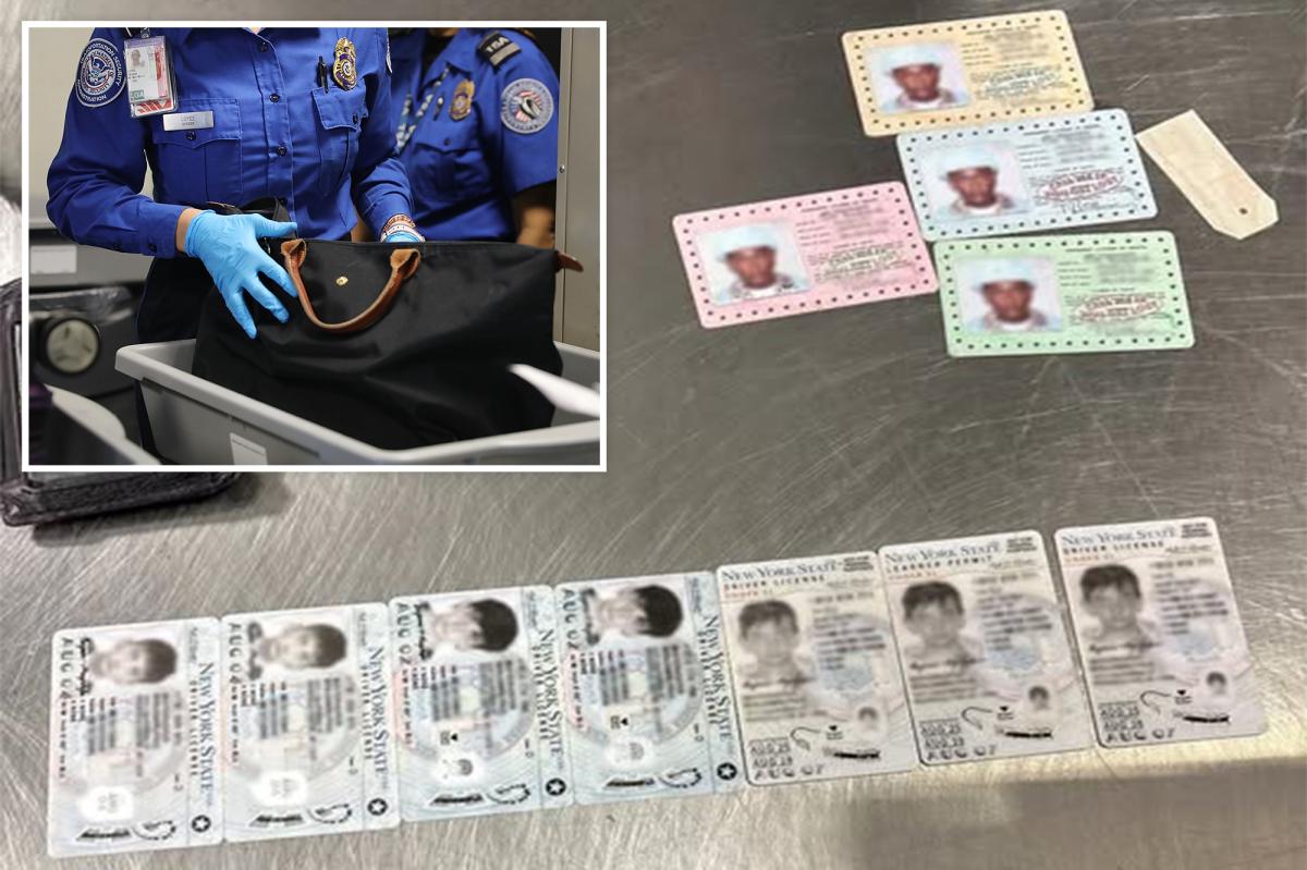 LaGuardia Airport's TSA X-ray reveals illegal stash concealed beside passenger's Xbox