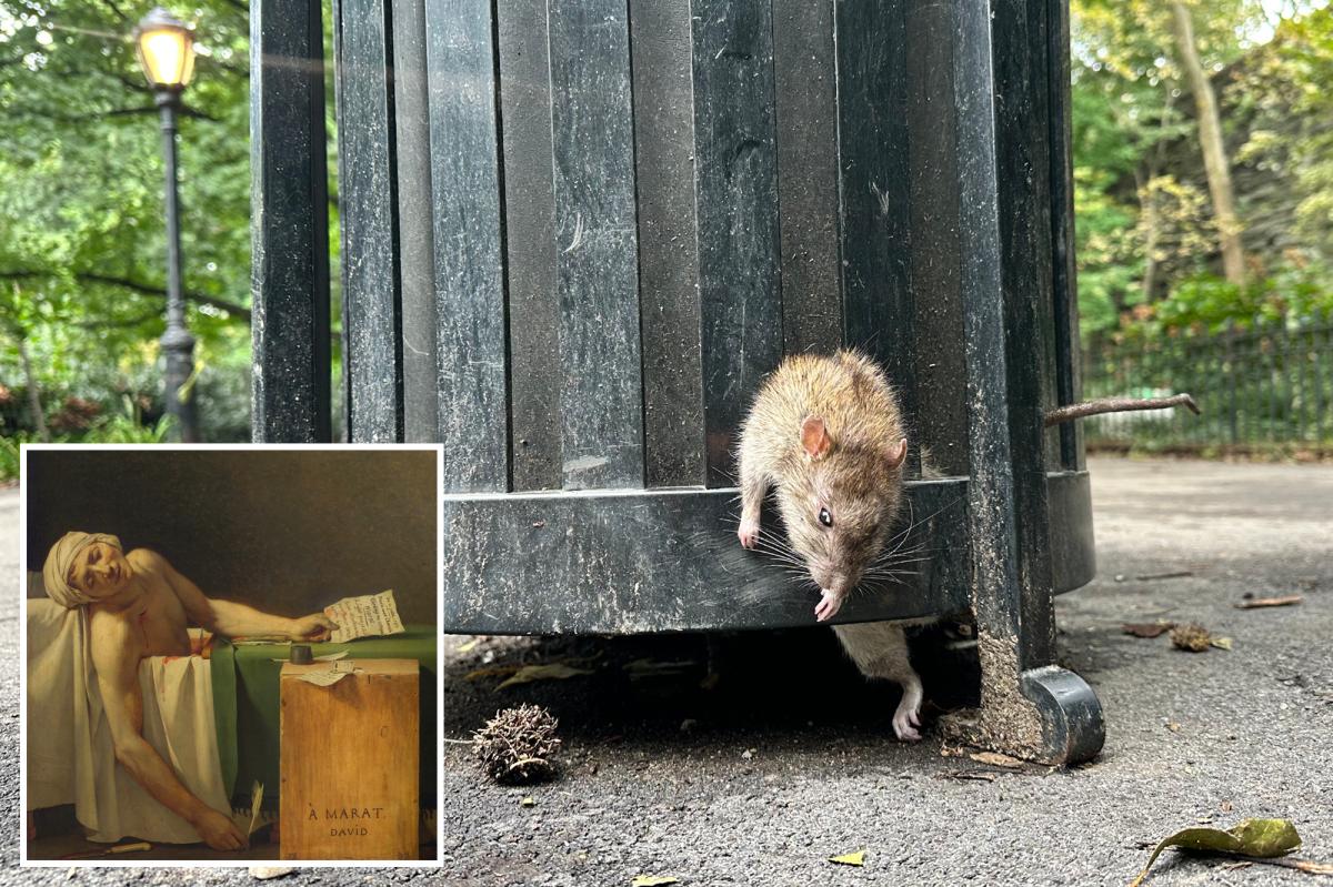 Obese rat dies escaping NYC trash can — but locals laud sick scene as high art: ‘New York sculpture’