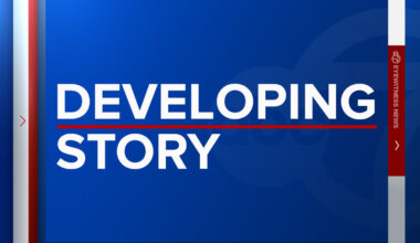 American Airlines flight aborts takeoff at LaGuardia Airport in New York following apparent bird strike