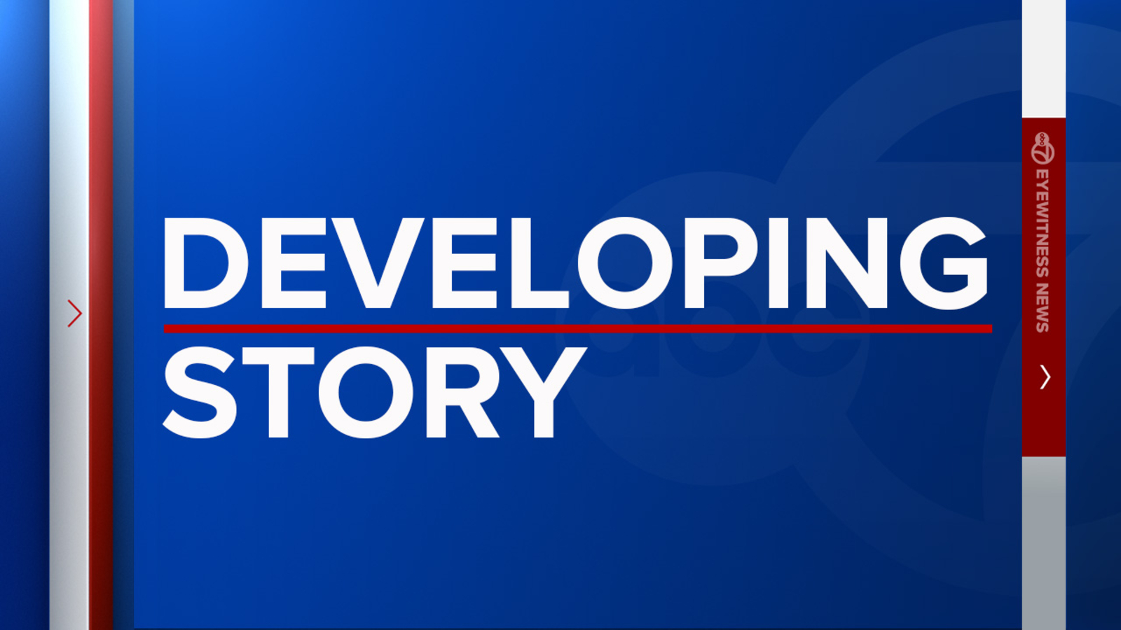 American Airlines flight aborts takeoff at LaGuardia Airport in New York following apparent bird strike