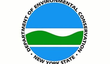 September welcomes New York State’s fall hunting – Oneida Dispatch