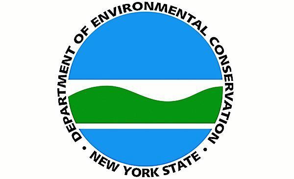 September welcomes New York State’s fall hunting – Oneida Dispatch