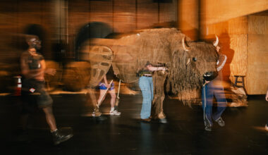 Conjuring a Herd of Buffalo From Steel, Wood and Burlap