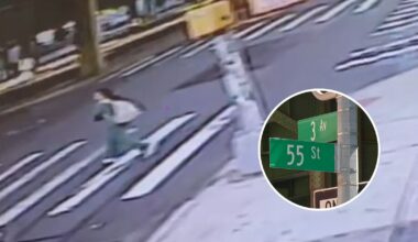 Brooklyn nurse Jiayi Zheng killed in Sunset Park hit-and-run; driver still sought